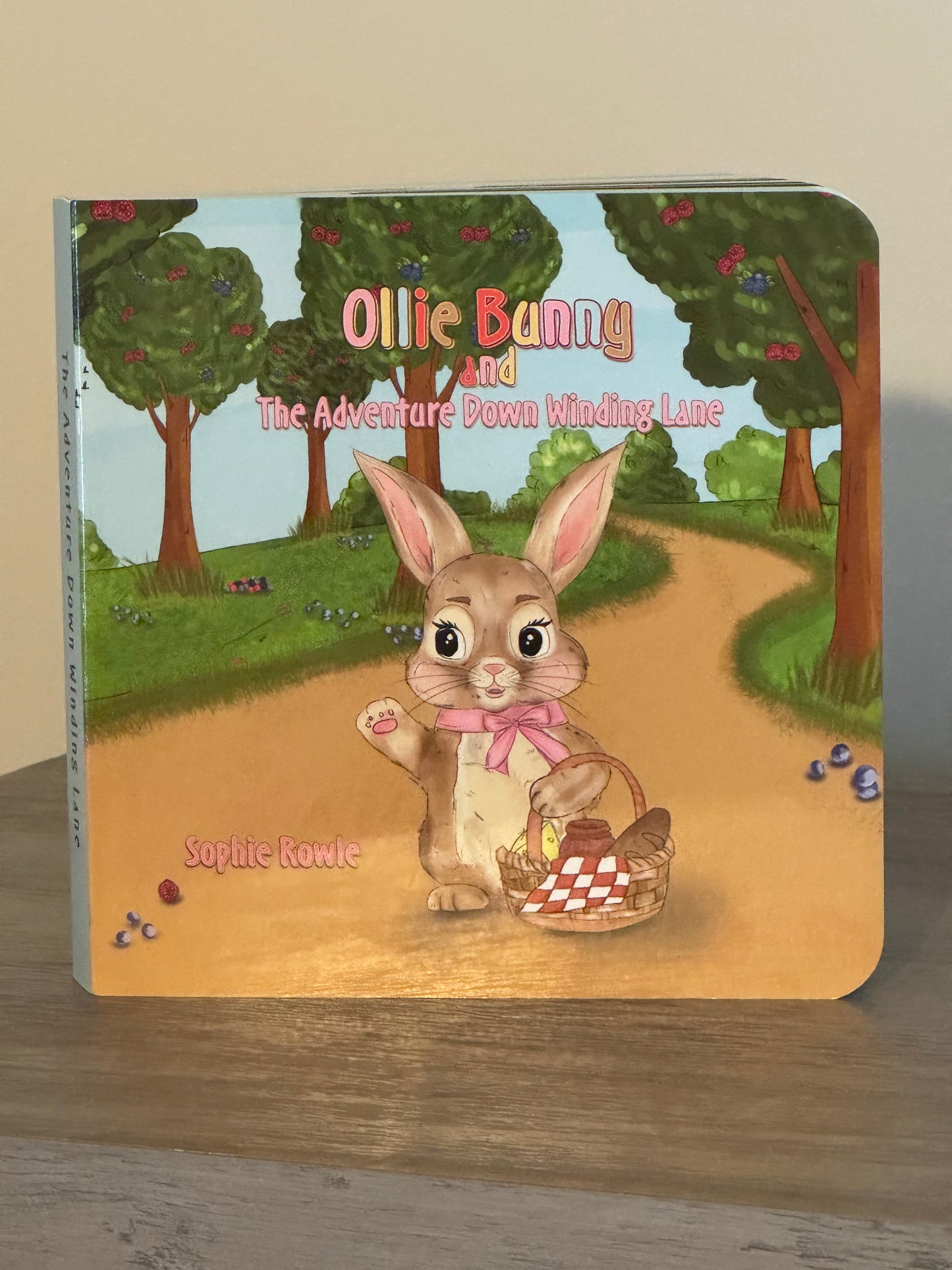 Ollie Bunny and the Adventure Down Winding Lane